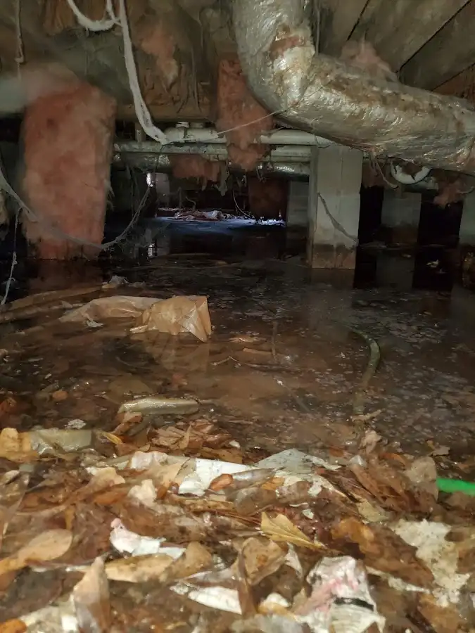 Crawl space flood assessment for Leak Detection & Repair in Norco